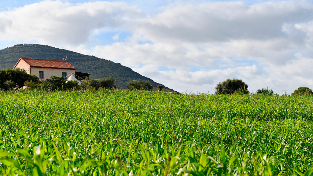 agriturismo La Traccia