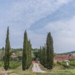 agriturismo Le Case Rosse di Montebuono