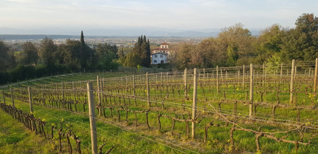 agriturismo Cascina Cipressa