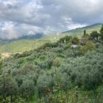 agriturismo Chiesa a Varena