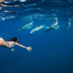 Azores Islands Experiences