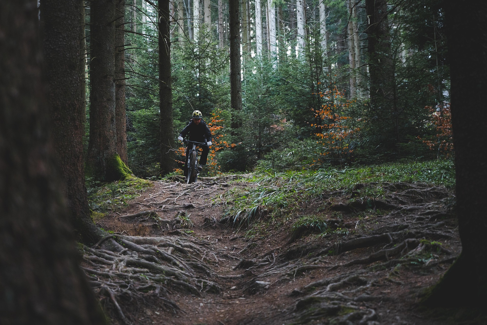 Cycling in Europe and Sustainable Tourism