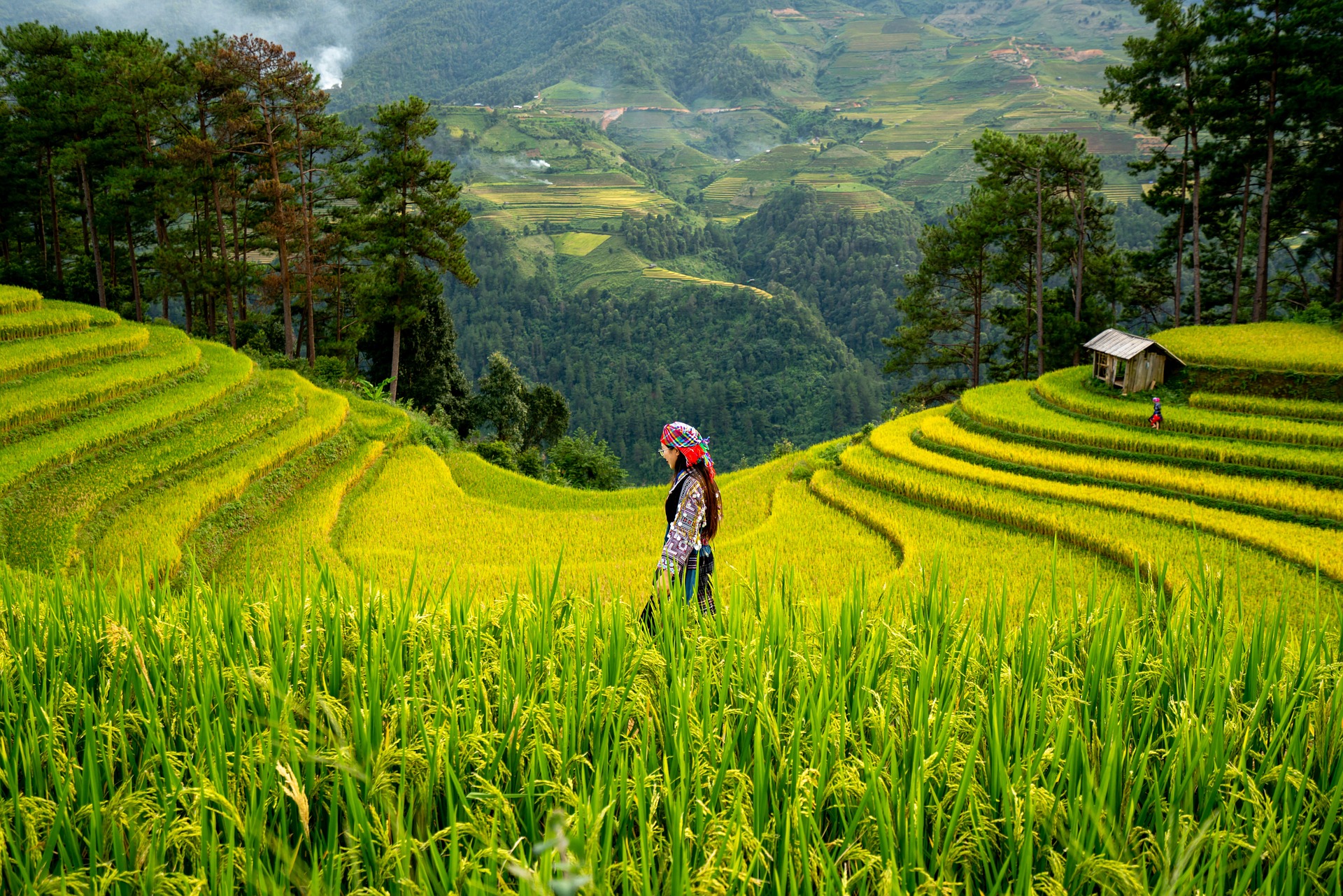 Sustainable Agriculture