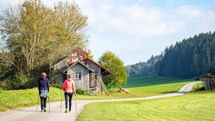 Sustainable Tourism Europe